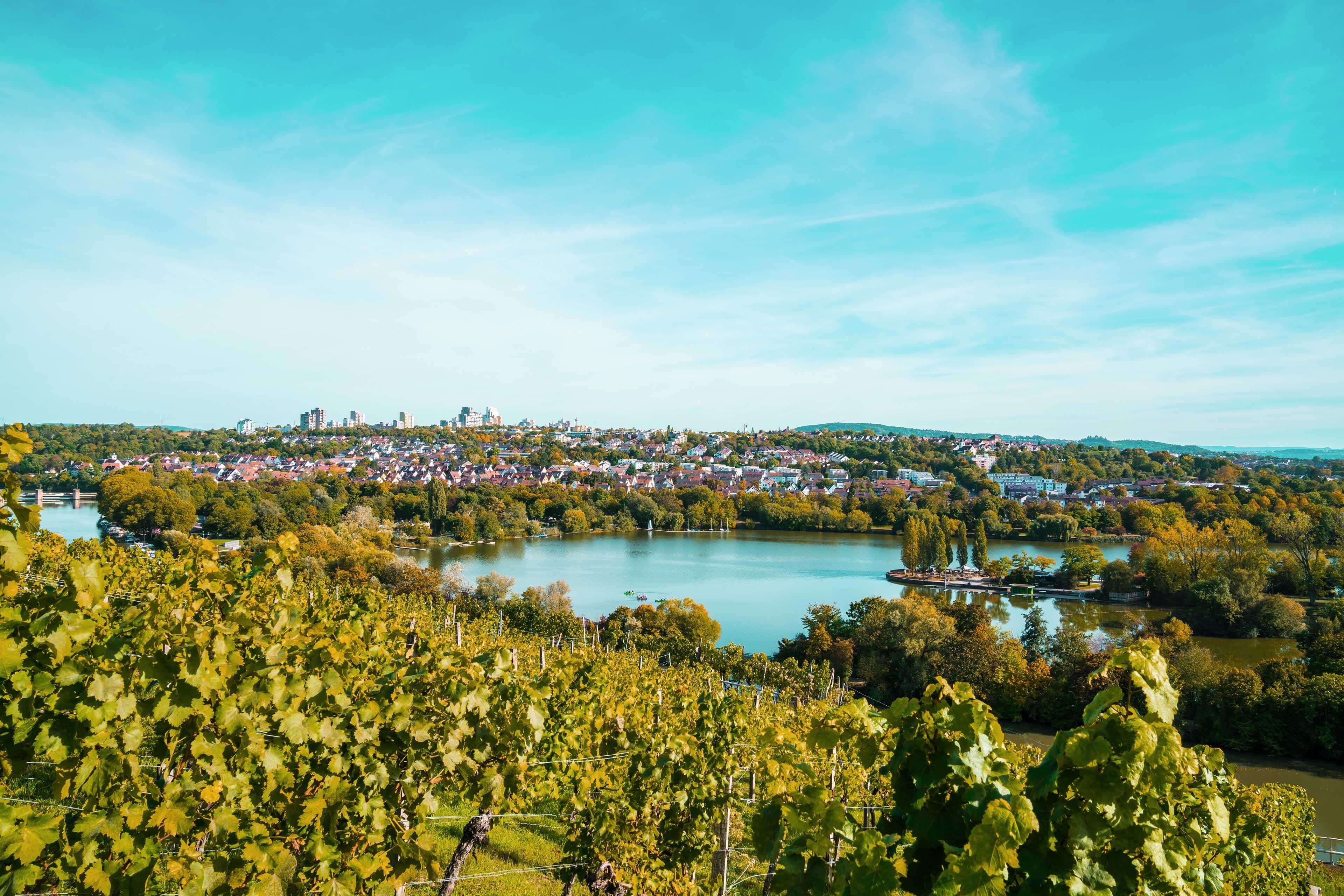 Blick über Weinberge auf den Max-Eyth-See und Stuttgart